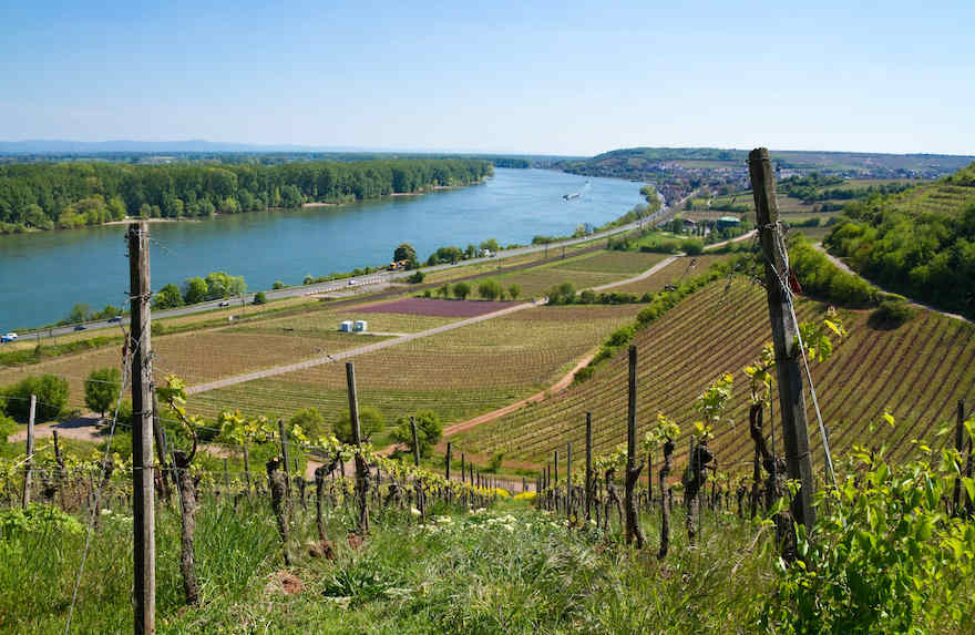 Deutsche Weine hoch geschätzt