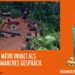 Kuemmerling-Werbemotiv im Dschungelcamp