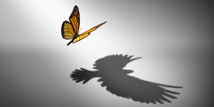 Schmetterling, der den Schatten eines Adlers wirft.