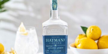 Still life mit einer Flasche Hayman's London Light und Gin Tonic