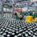 Mann in der Produktion prüft eine Flasche Pülleken